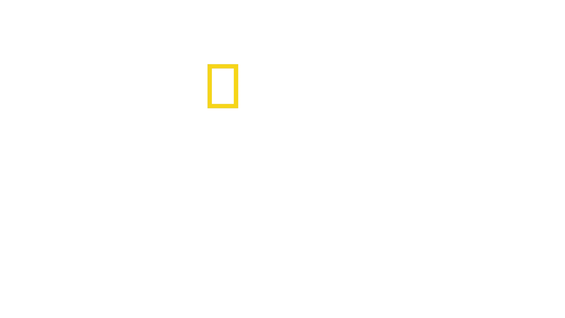 We Feed People