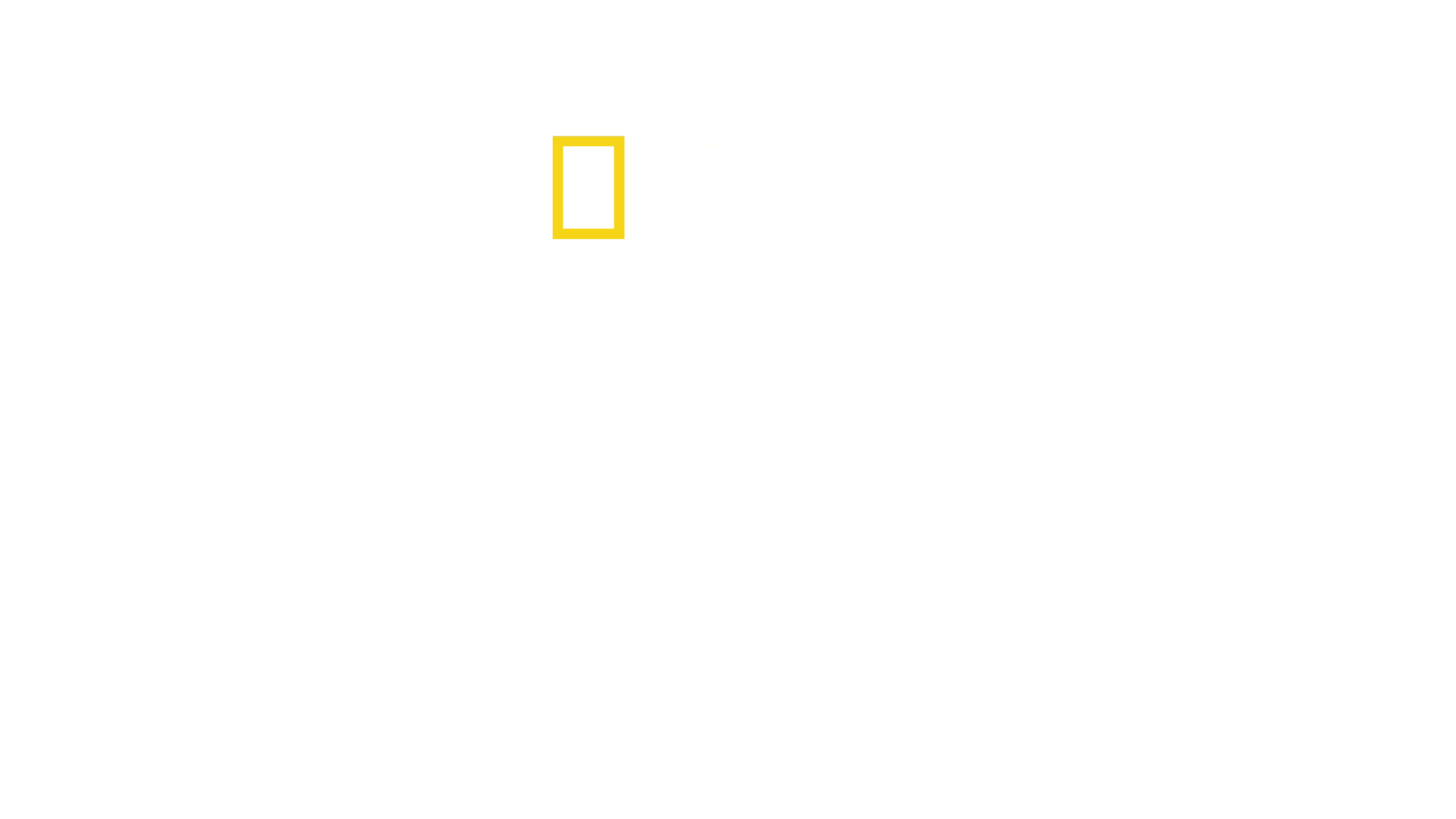 Kochen ohne Grenzen: World Central Kitchen