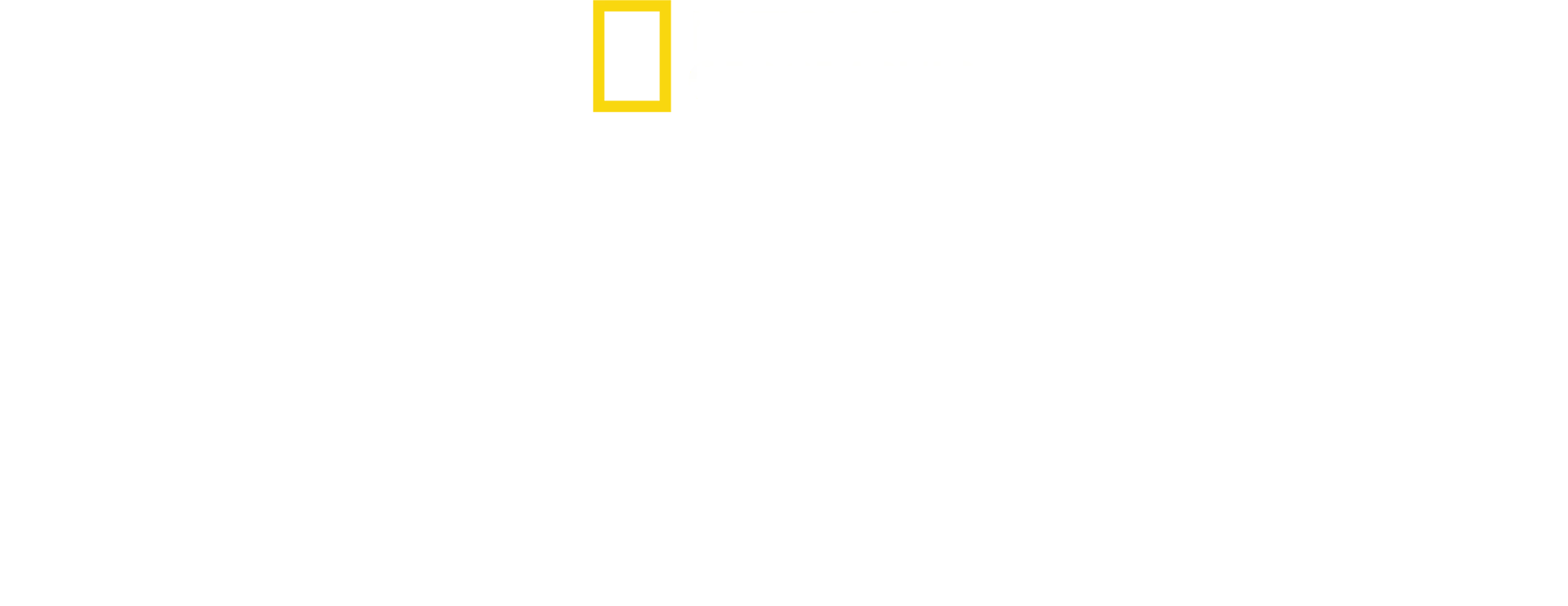 Kochen ohne Grenzen: World Central Kitchen