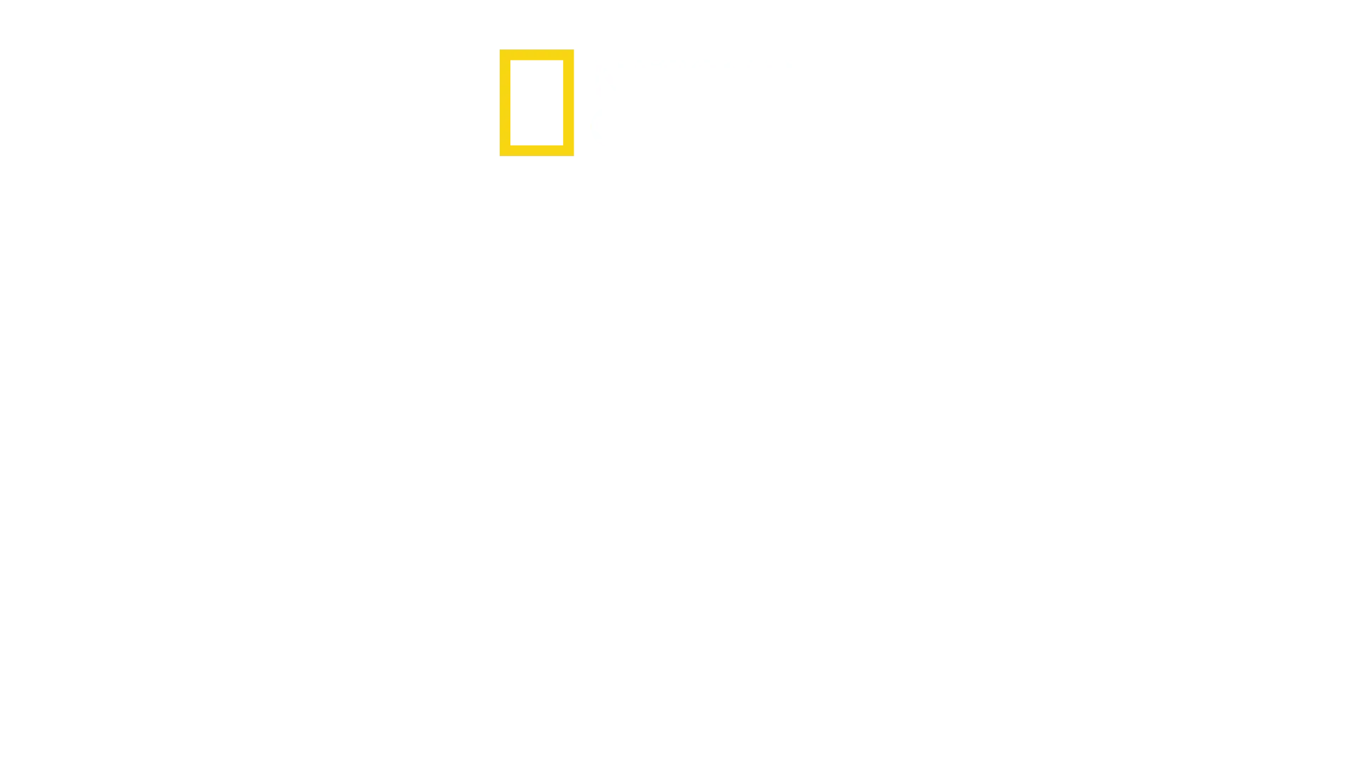 We Feed People - Uno Chef in prima linea