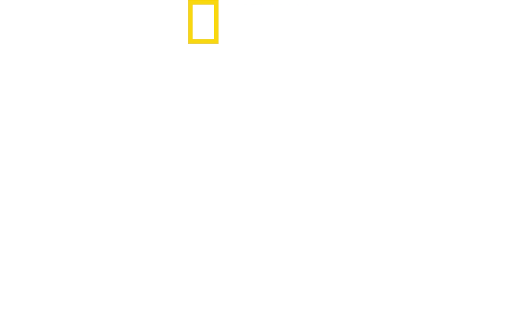 国境なき厨房 トップシェフの救済活動