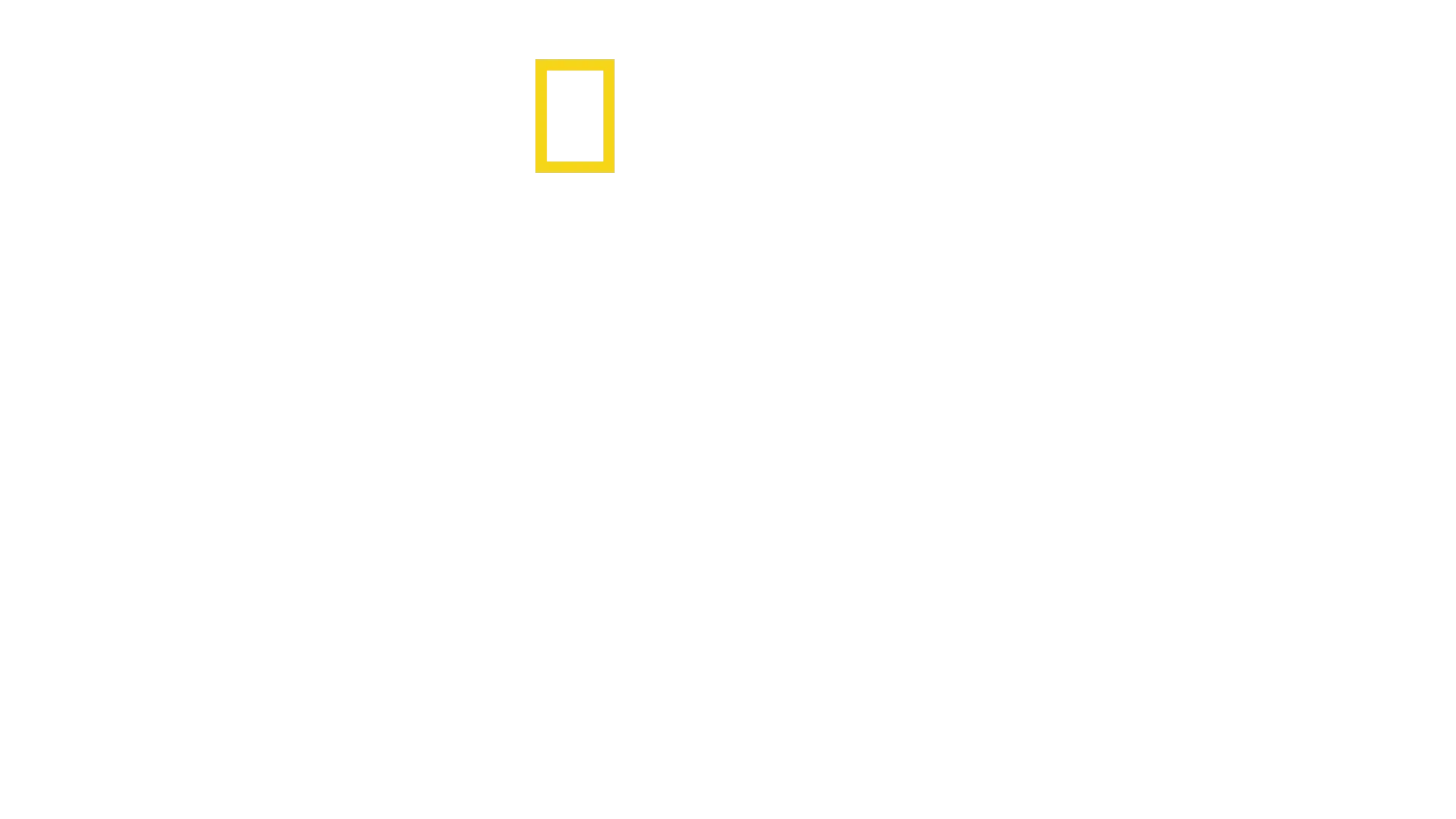 We Feed People: Um Chef Na Primeira Linha