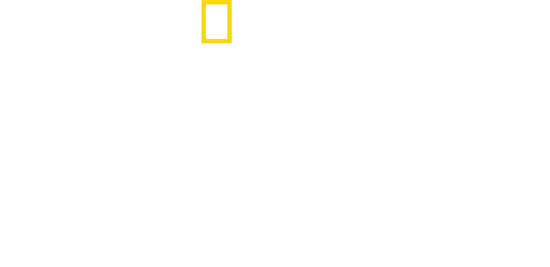 We Feed People: Um Chef Na Primeira Linha