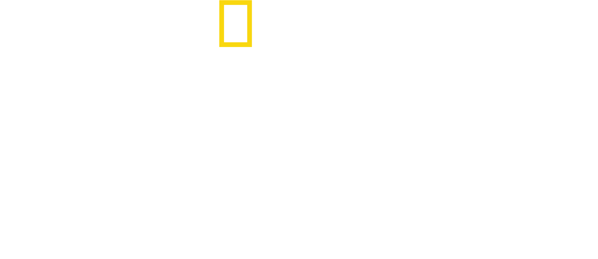 慈膳救援行動