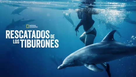thumbnail - Rescatados de los tiburones