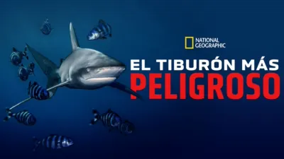 El tiburón más peligroso