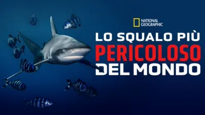thumbnail - Lo squalo più pericoloso del mondo
