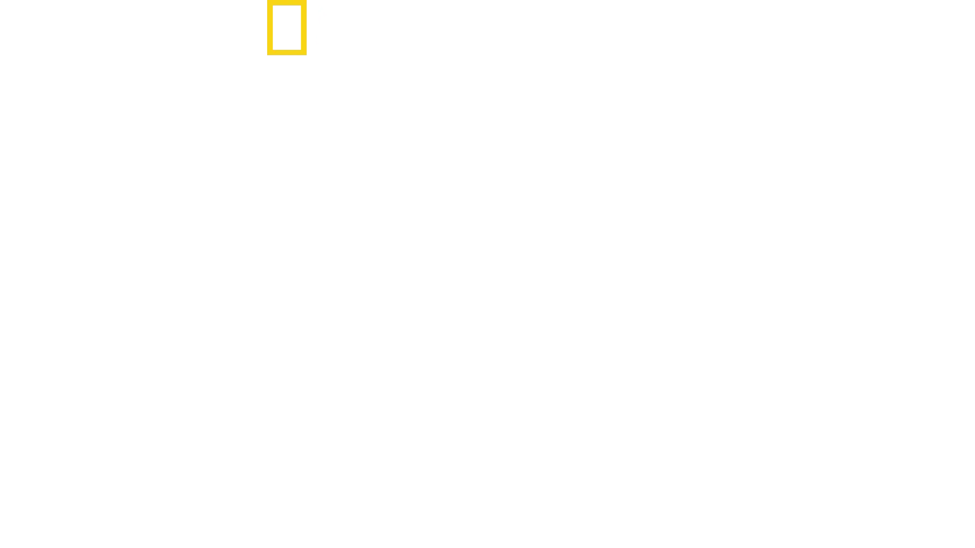 Haie - Vereint in der Jagd?