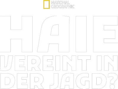 Haie - Vereint in der Jagd?