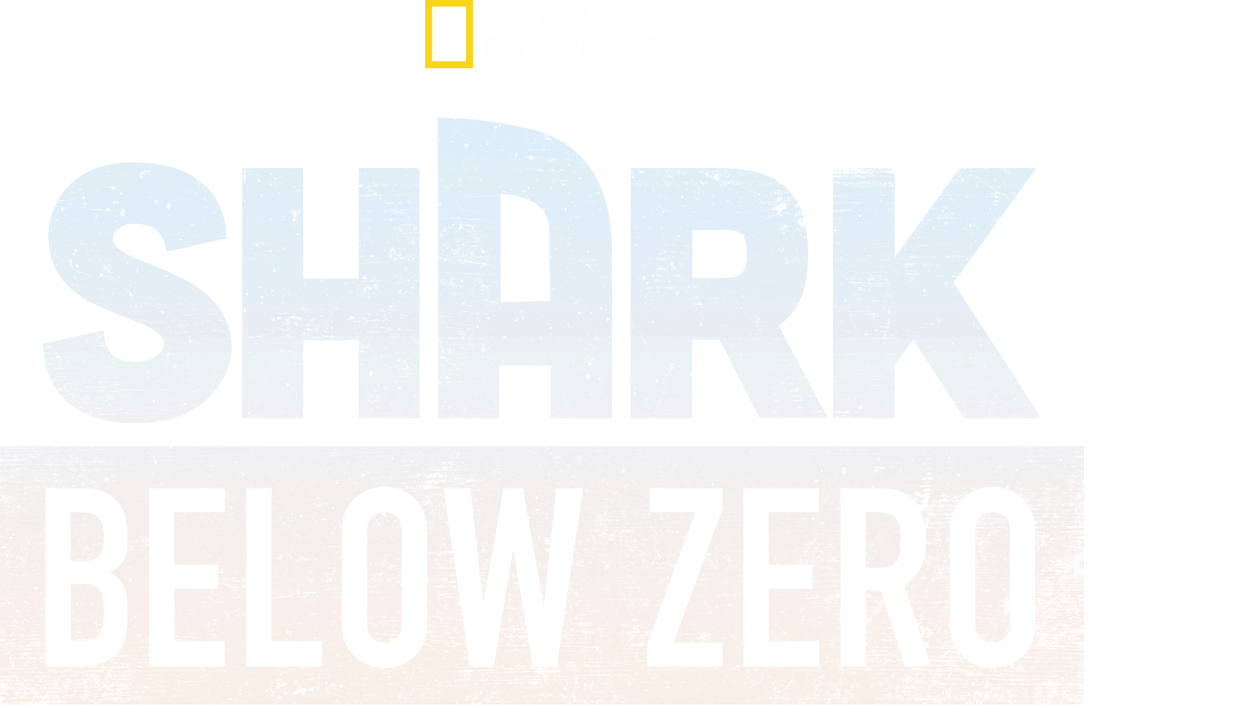 Shark Below Zero
