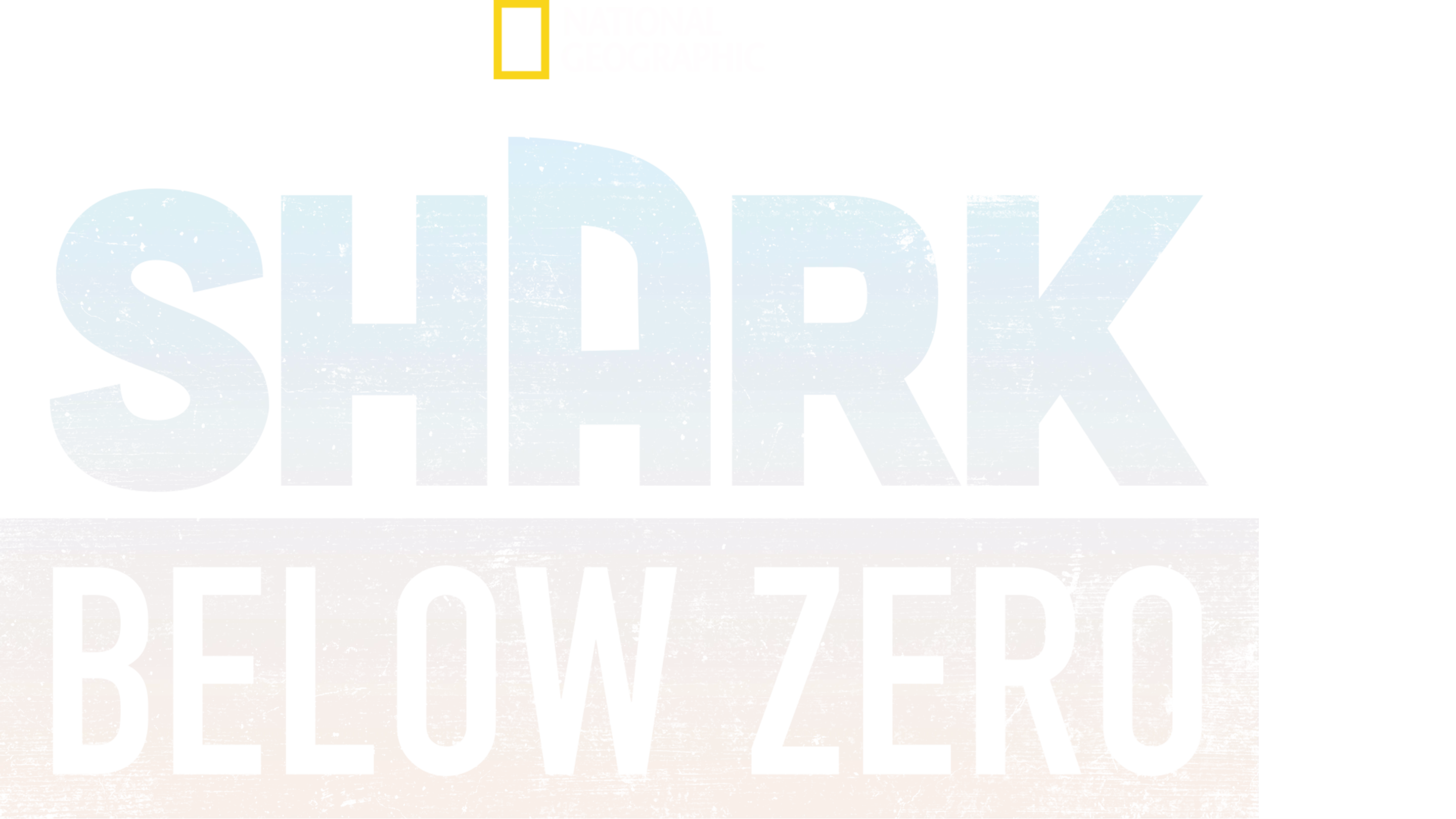 Shark Below Zero