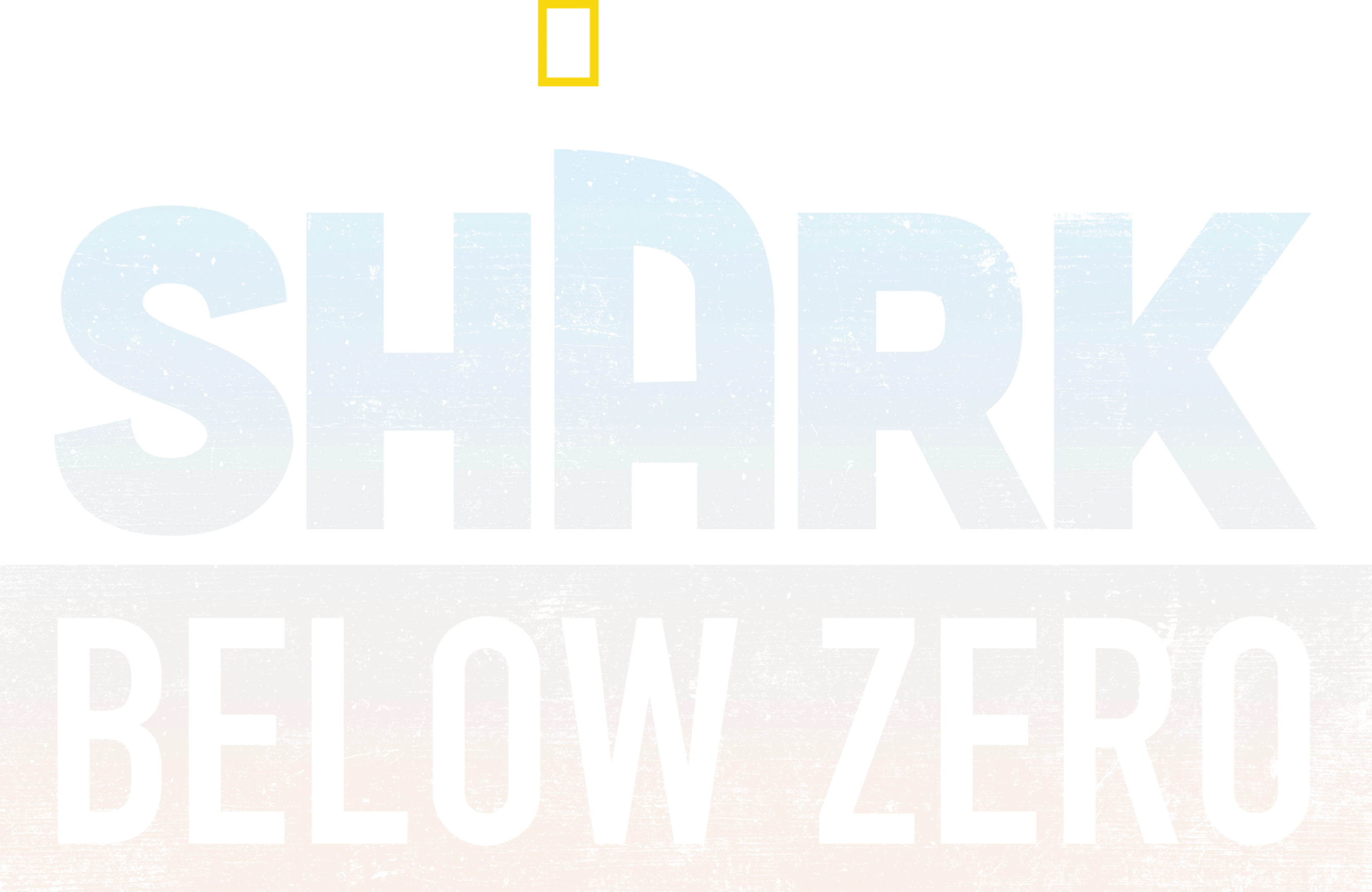Shark Below Zero