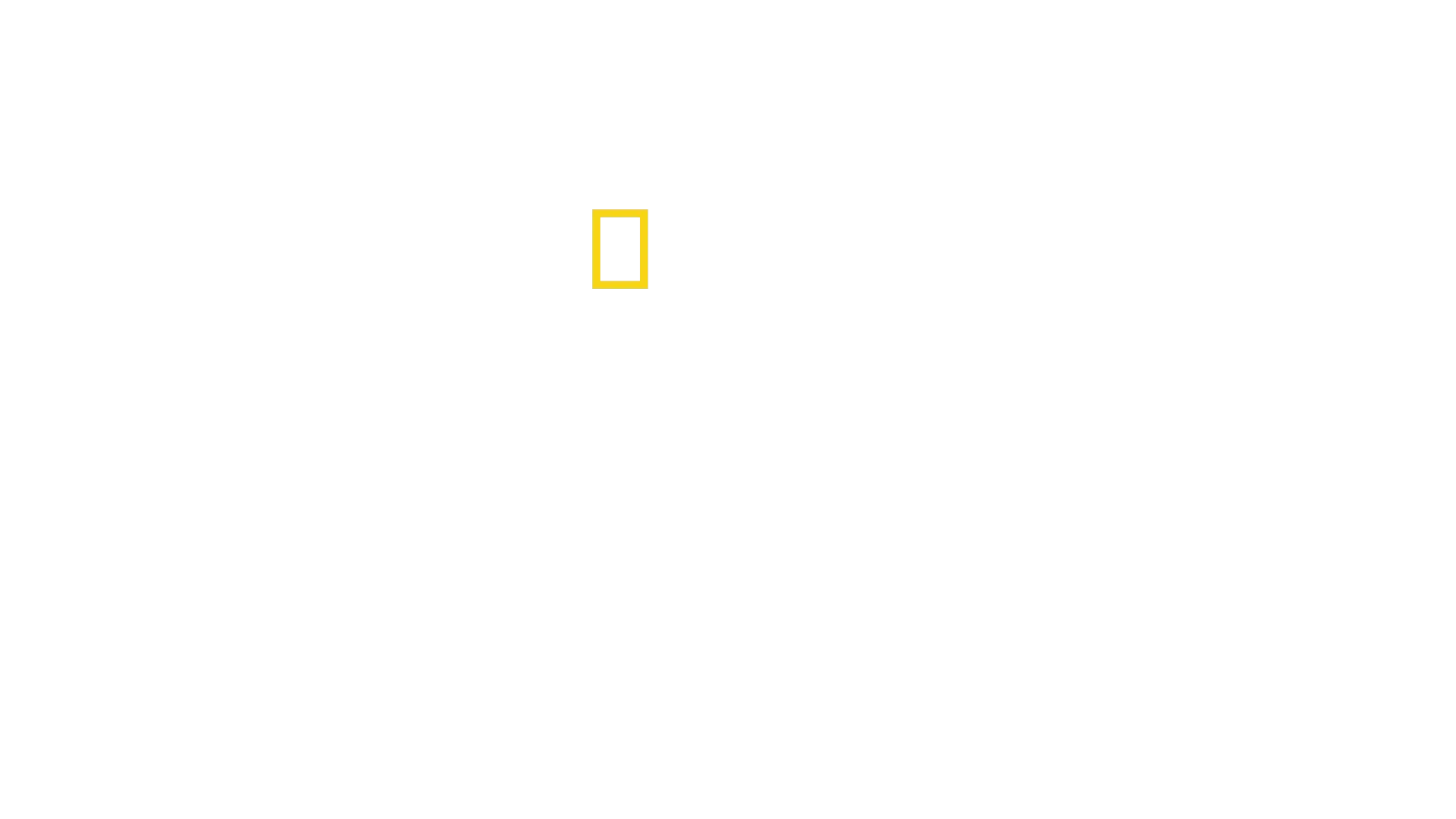 Europa blir til