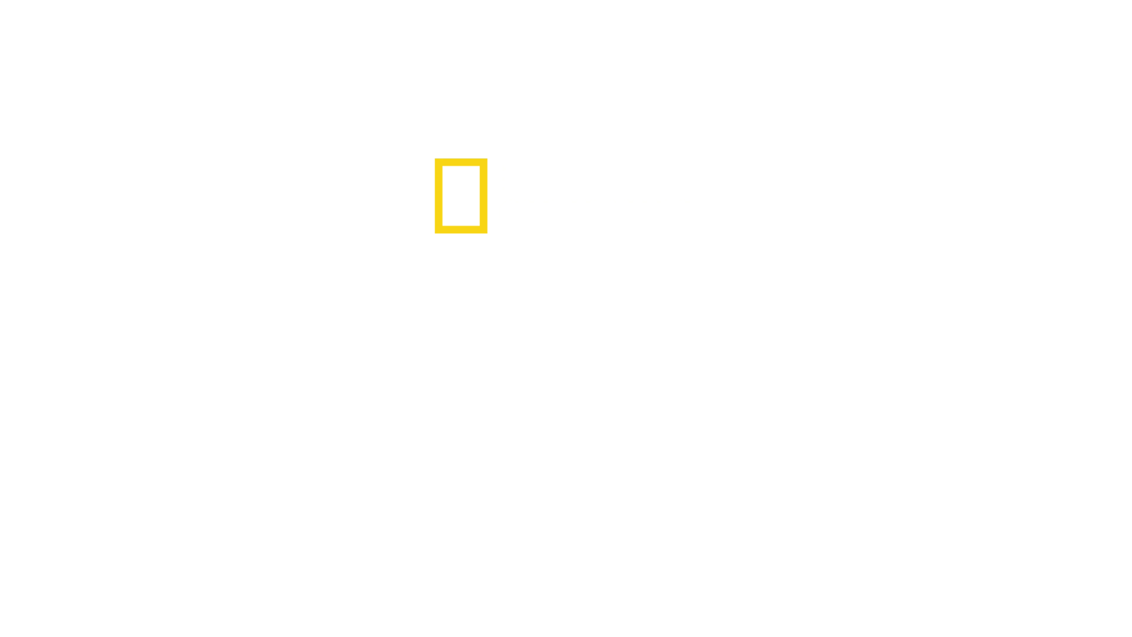 Narodziny Europy