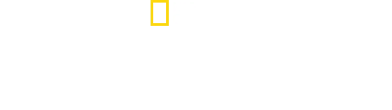 Narodziny Europy