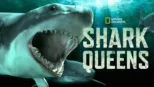 thumbnail - Shark Queens