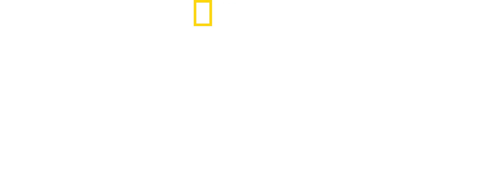 United States of Animals
