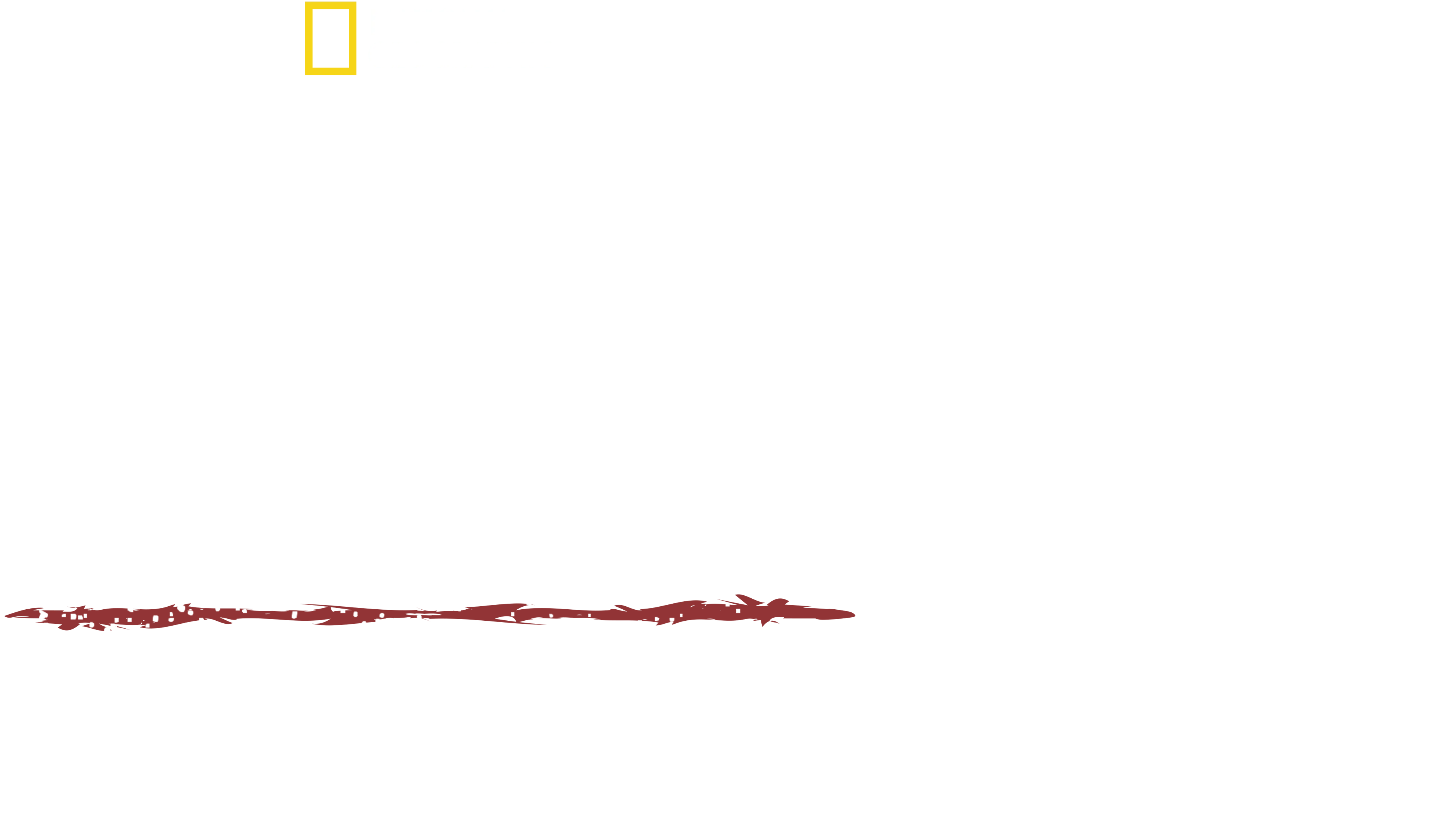 Umění přežít: Dobrodružství v Amazonii