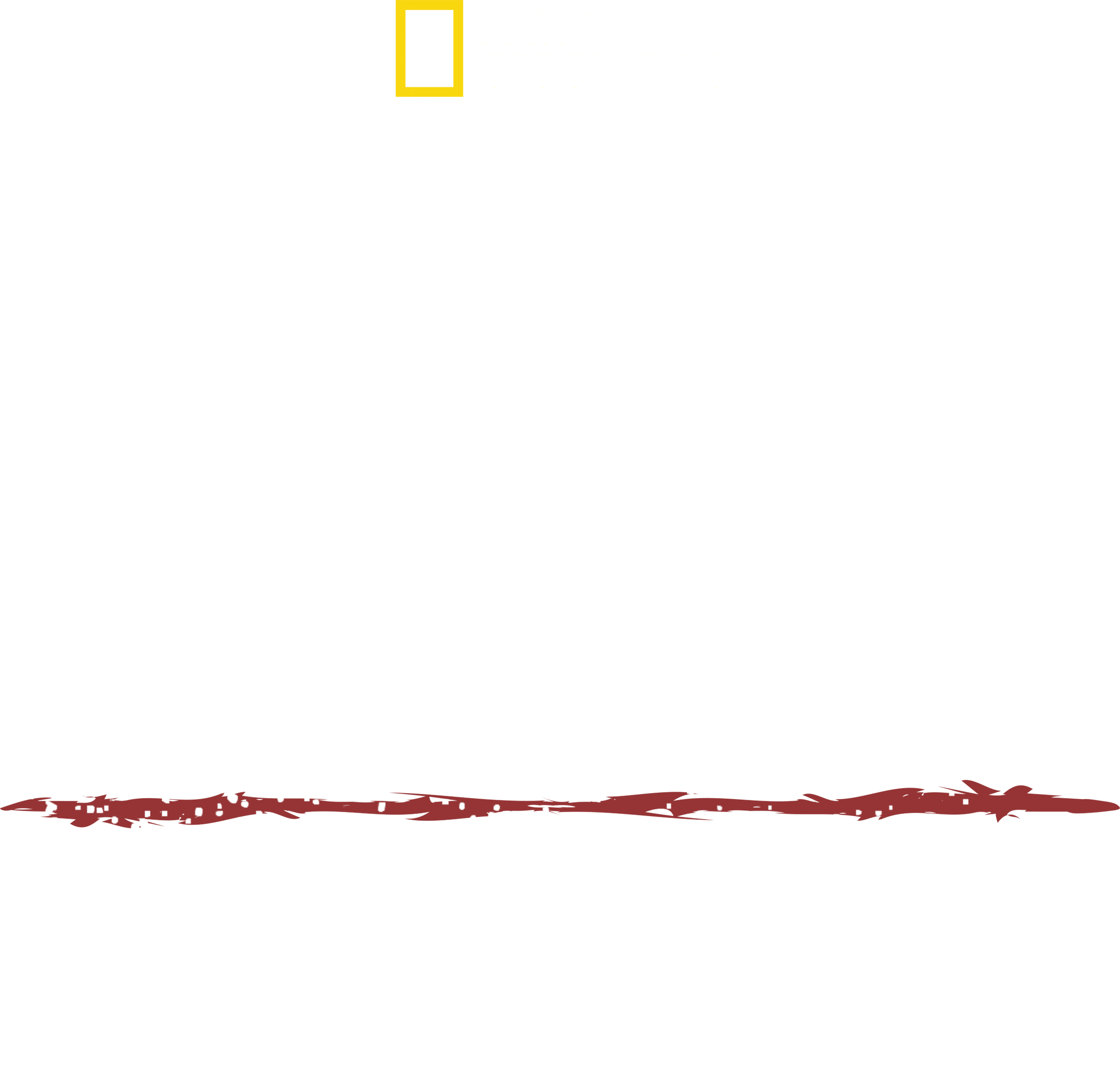 Umění přežít: Dobrodružství v Amazonii