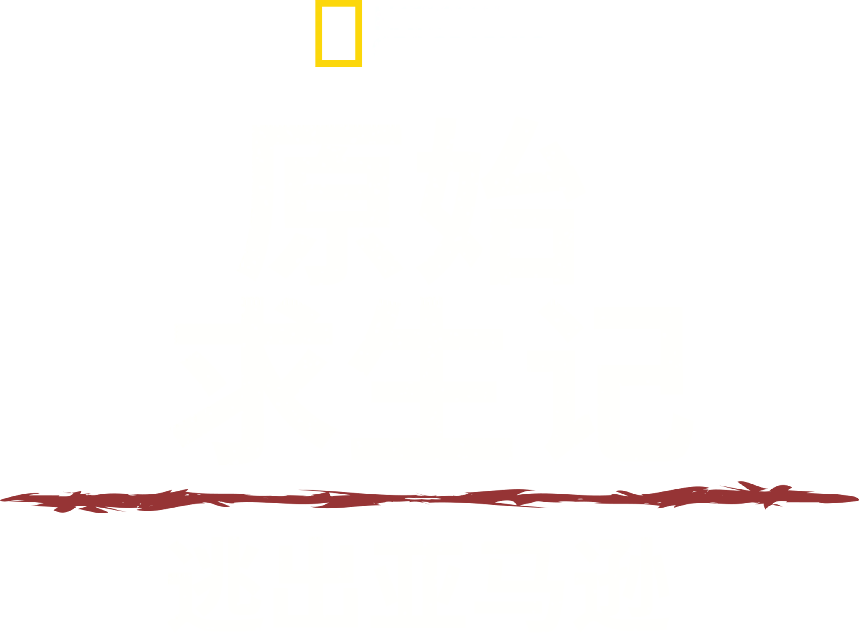 原始求生记：逃出亚马逊