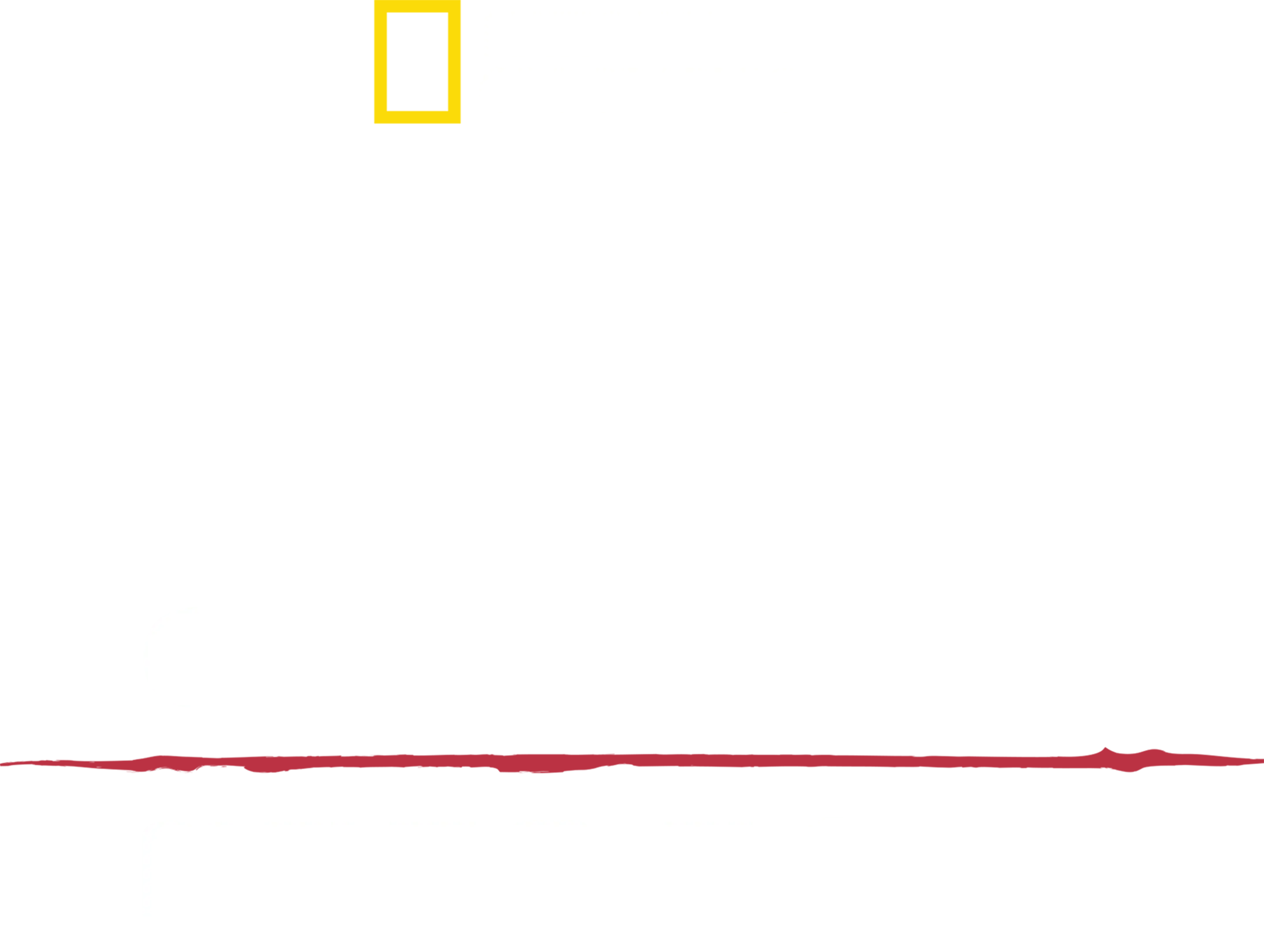 헤이즌 아델의 정글의 법칙: 아마존을 탈출하라