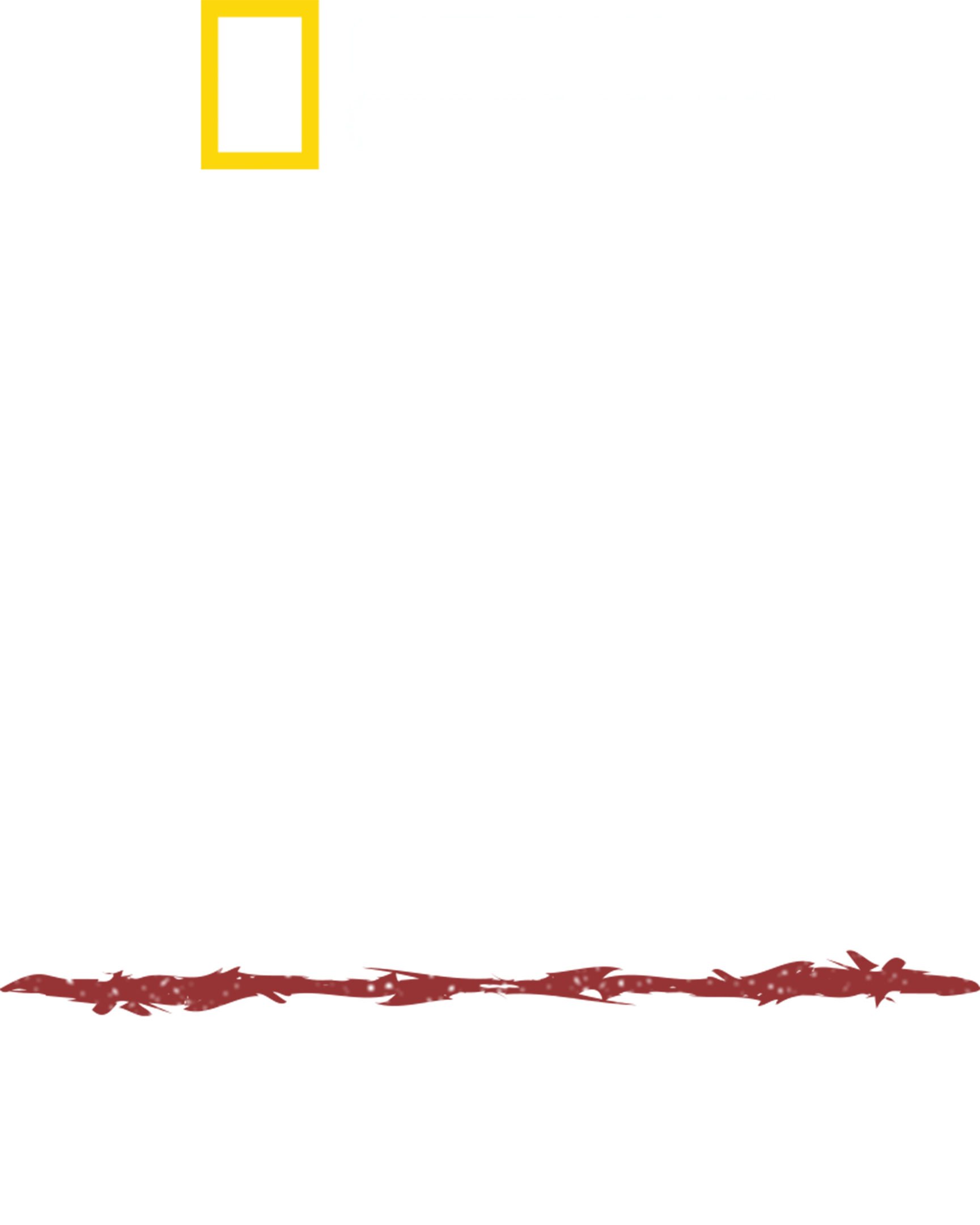 原始求生記：逃出亞馬遜