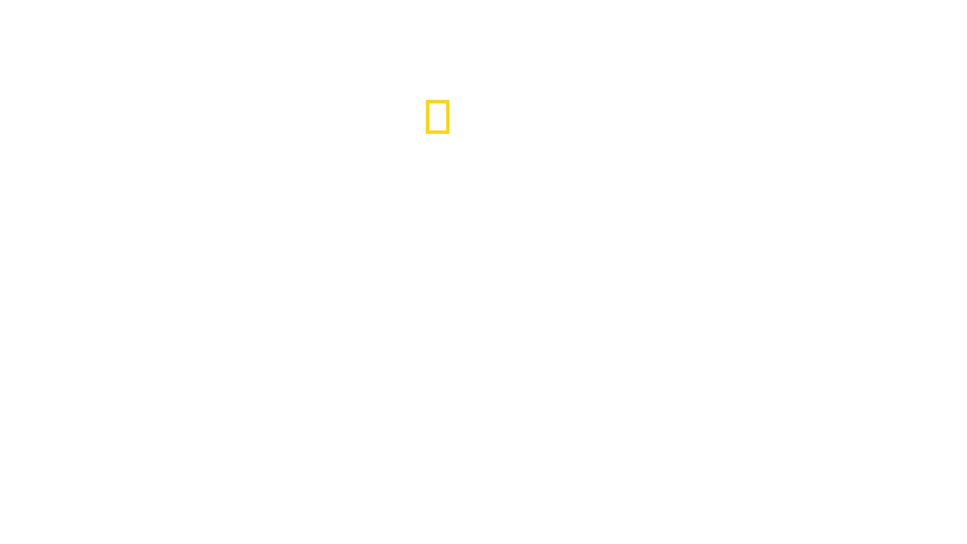 Ayın İzinde Köpekbalıkları