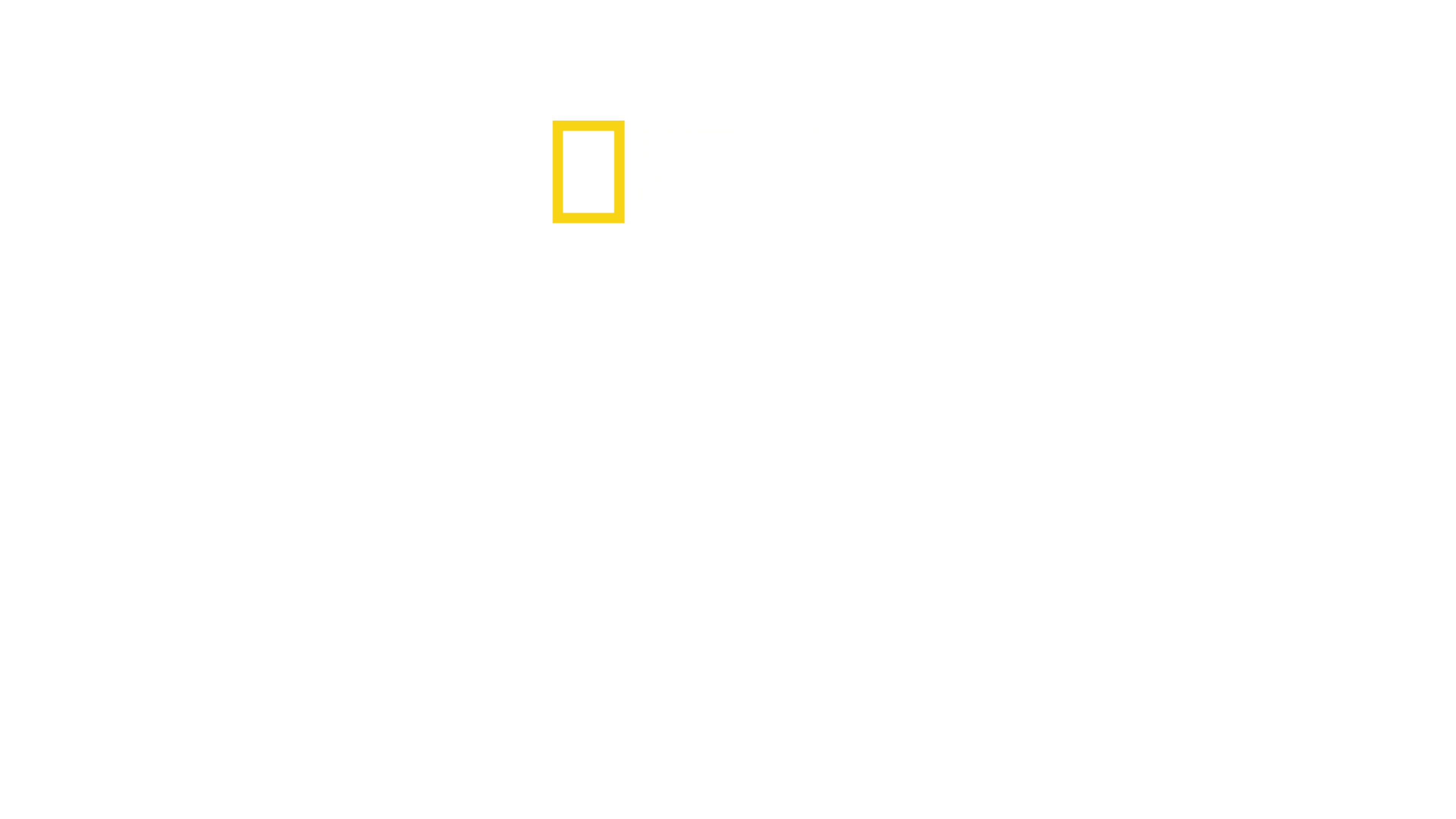 Tubarões à Noite