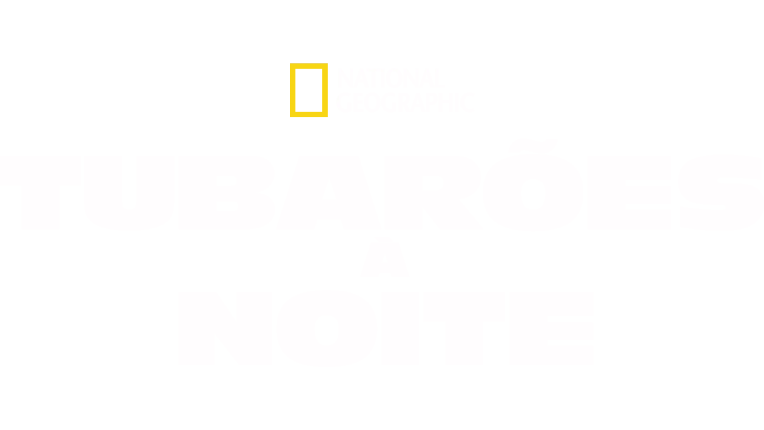 Tubarões à Noite