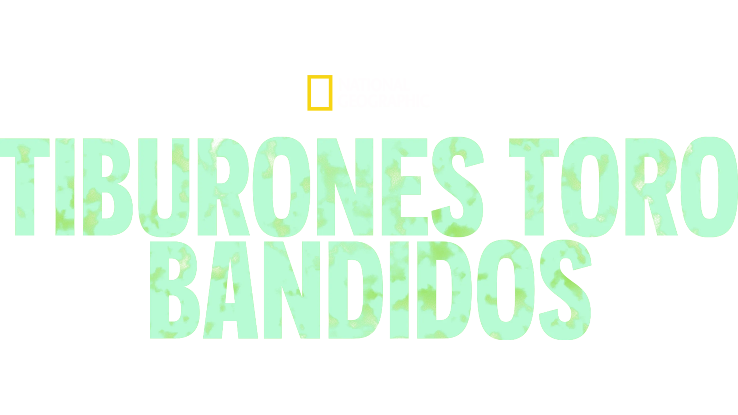 Tiburones toro bandidos