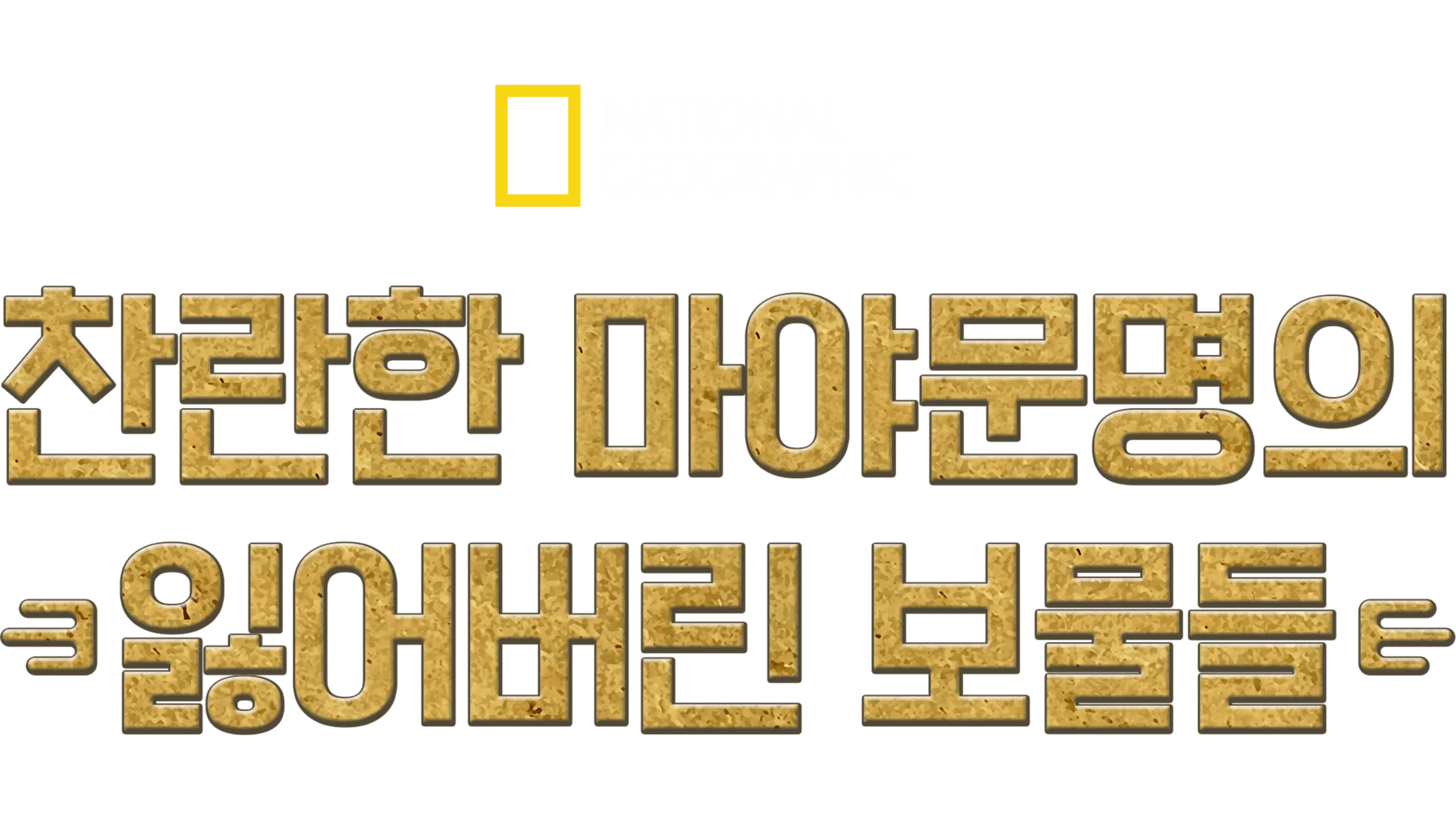 찬란한 마야문명의 잃어버린 보물들