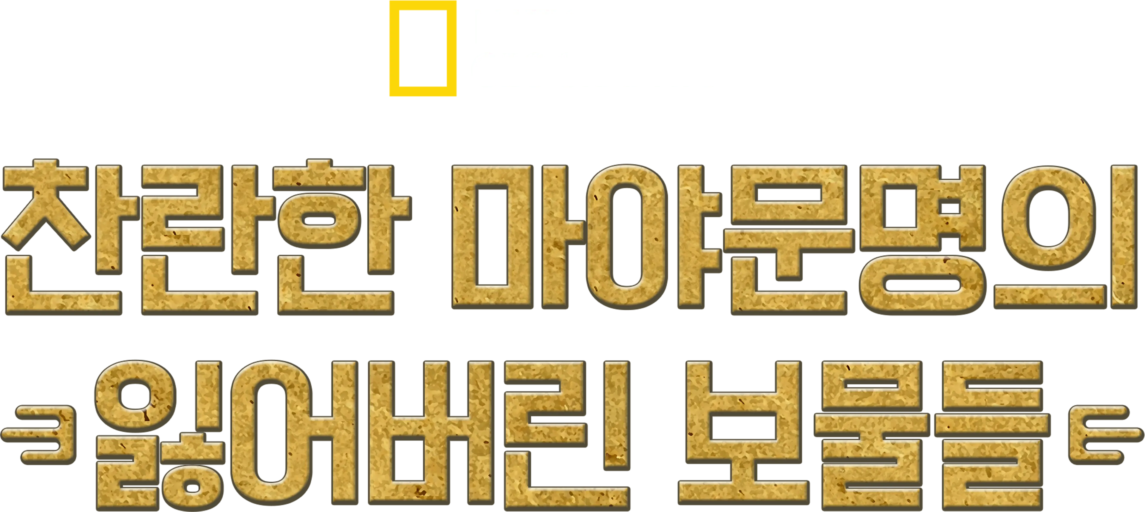 찬란한 마야문명의 잃어버린 보물들