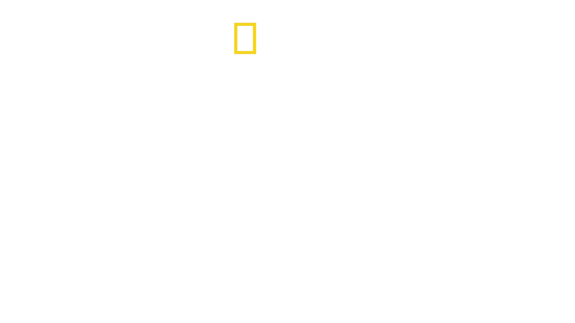 Shark Attack 360