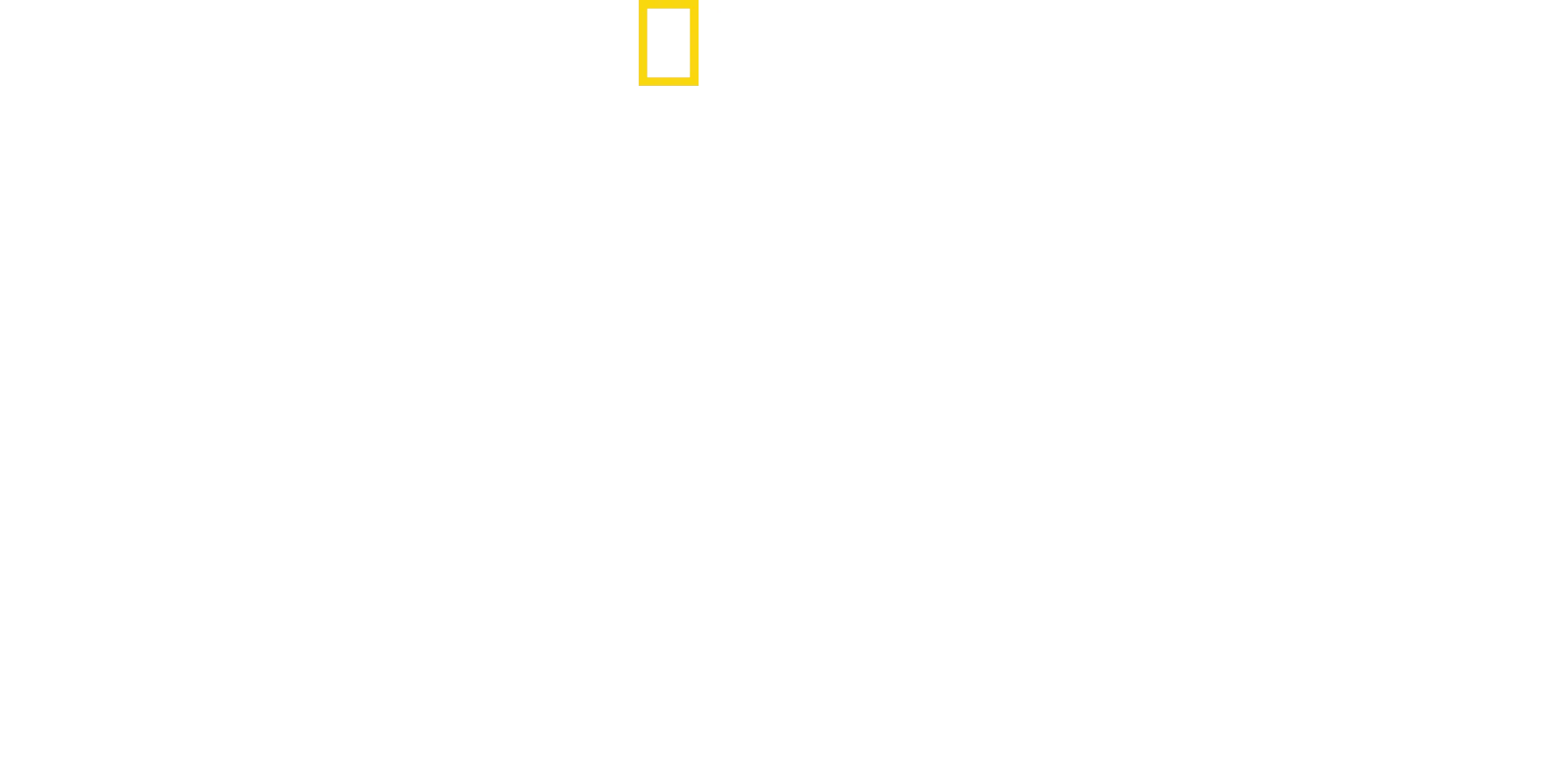 Shark Attack 360