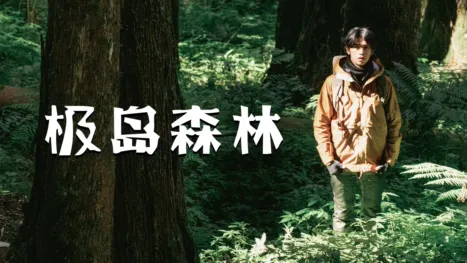 thumbnail - 极岛森林