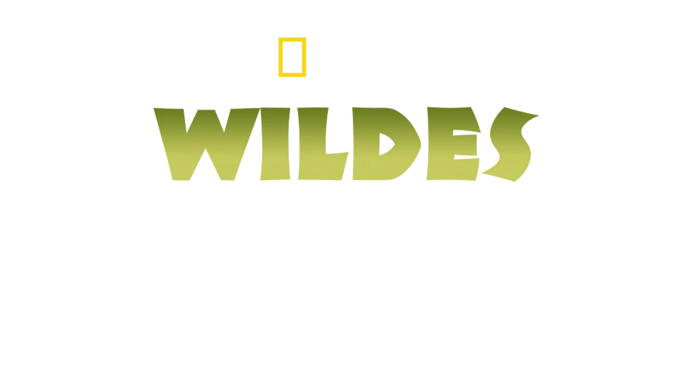 Wildes Indien