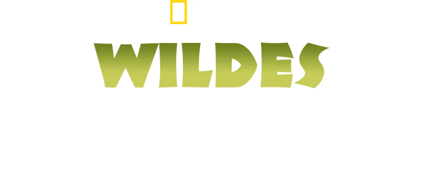 Wildes Indien