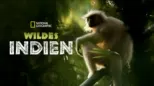 thumbnail - Wildes Indien
