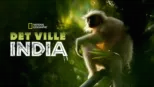 thumbnail - Det ville India