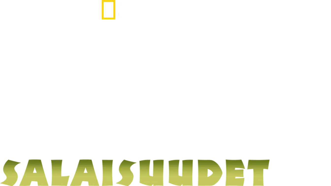 Villin Intian salaisuudet