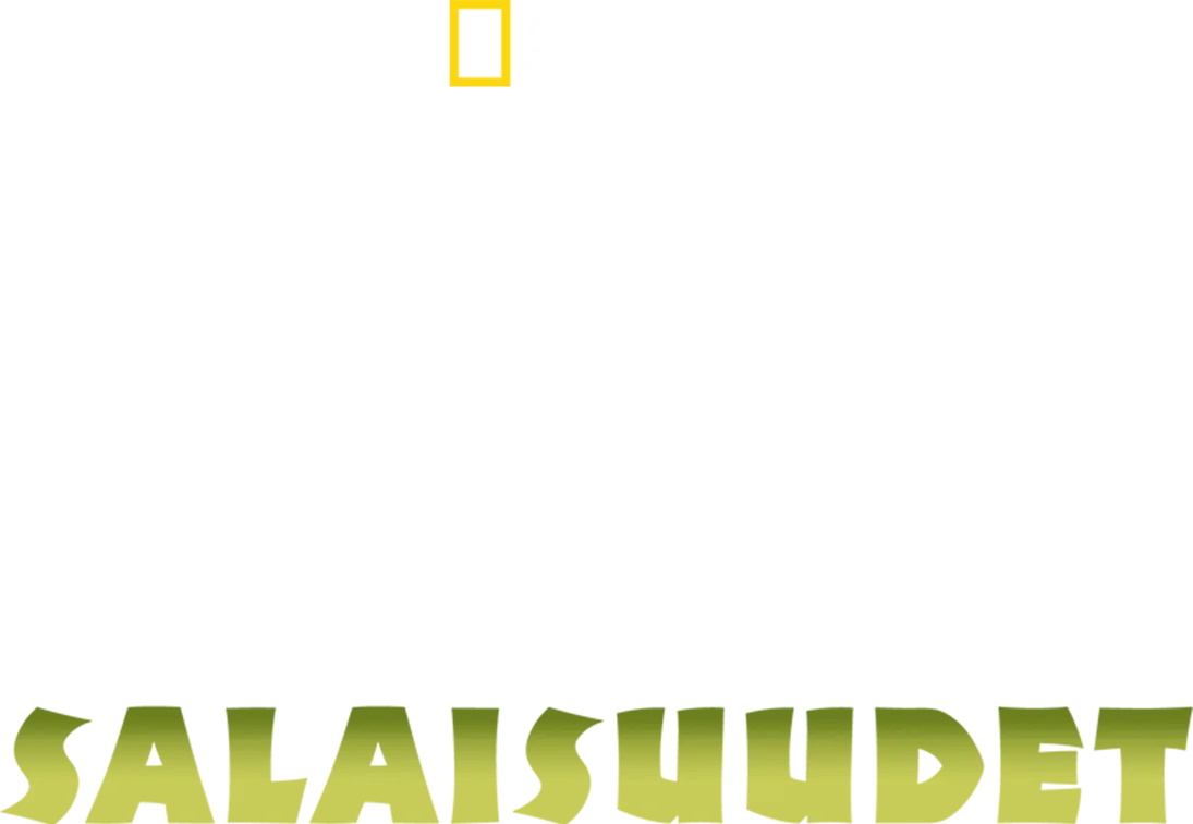 Villin Intian salaisuudet