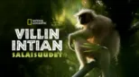 thumbnail - Villin Intian salaisuudet