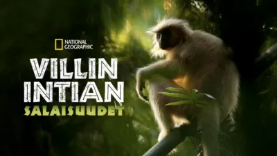 Villin Intian salaisuudet