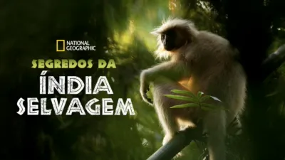 Segredos da Índia Selvagem