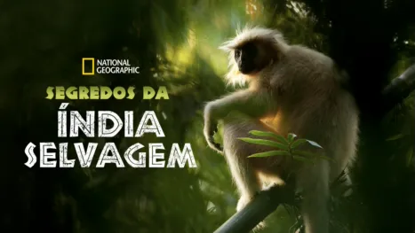 thumbnail - Segredos da Índia Selvagem