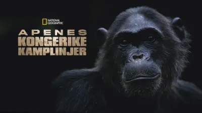 Apenes kongerike: Kamplinjer