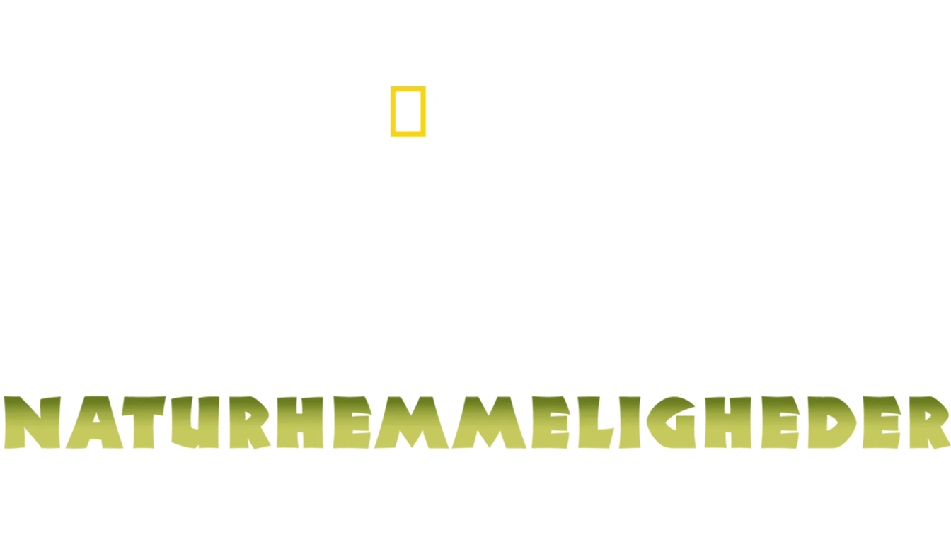 Indiens naturhemmeligheder