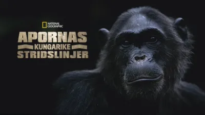 Apornas kungarike: Stridslinjer