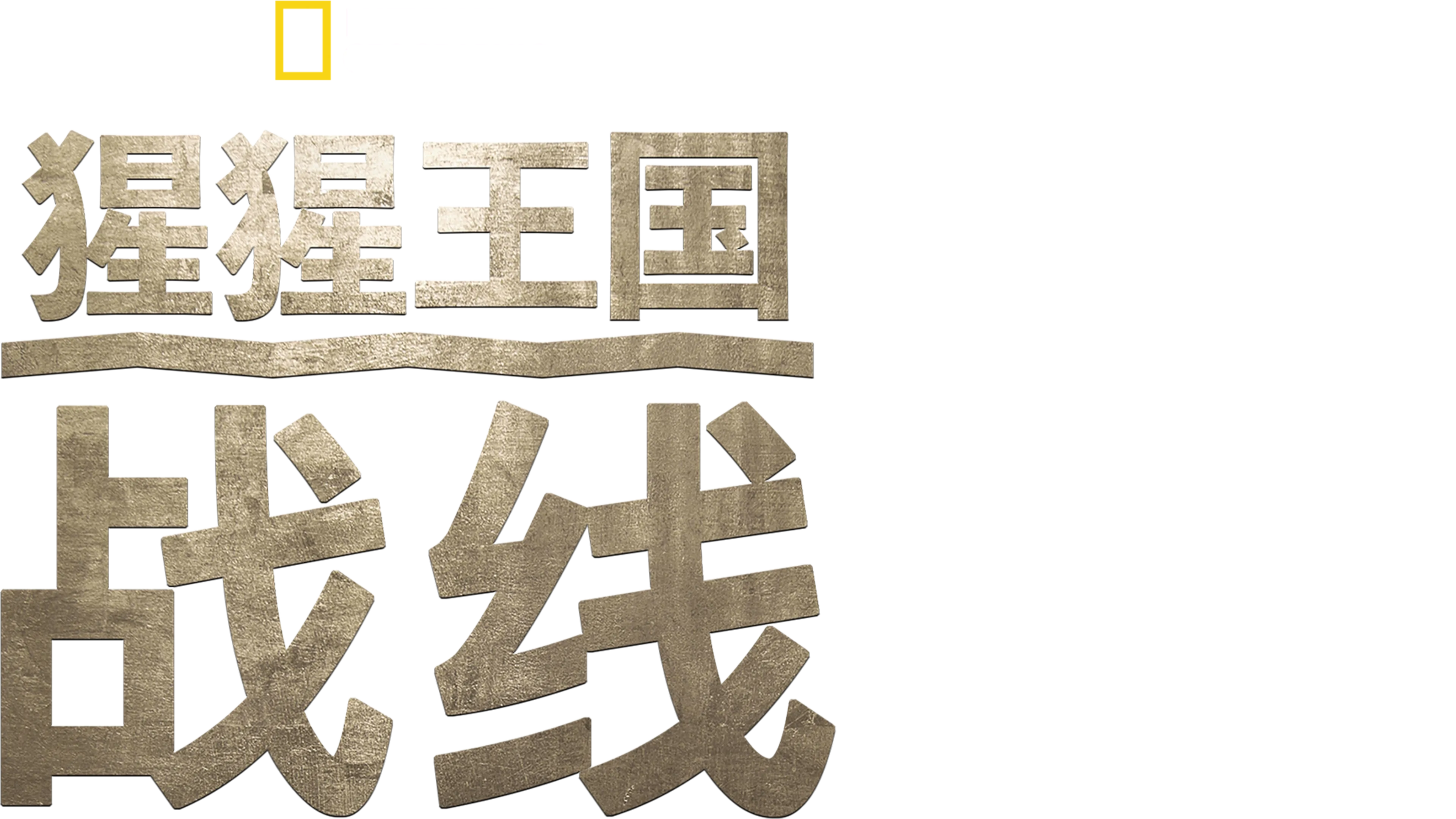 猩猩王国：战线