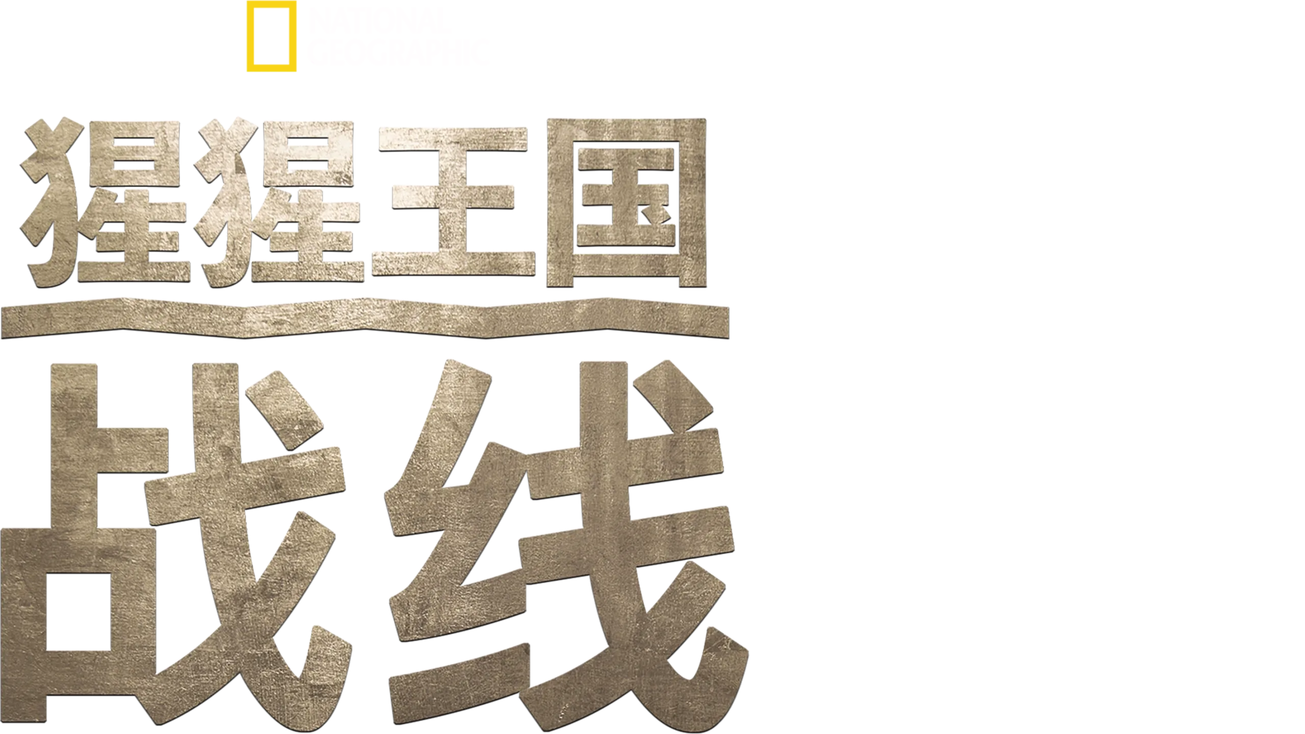 猩猩王国：战线